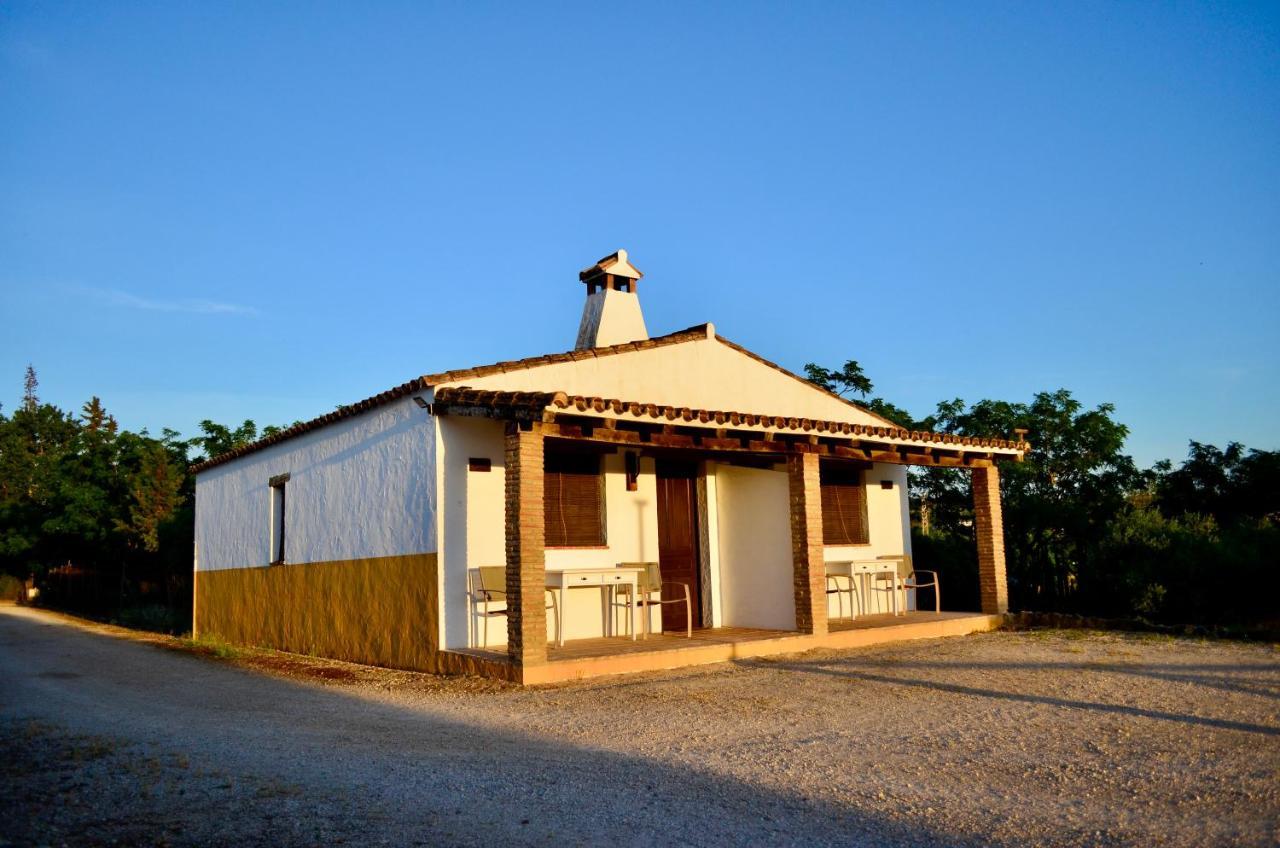 Cortijo Mesa De La Plata Pension Arcos de la Frontera Buitenkant foto