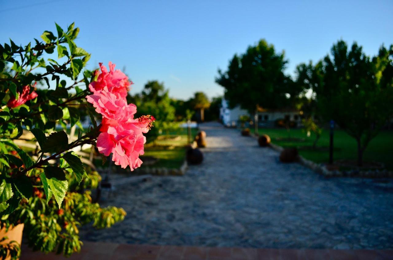 Cortijo Mesa De La Plata Pension Arcos de la Frontera Buitenkant foto