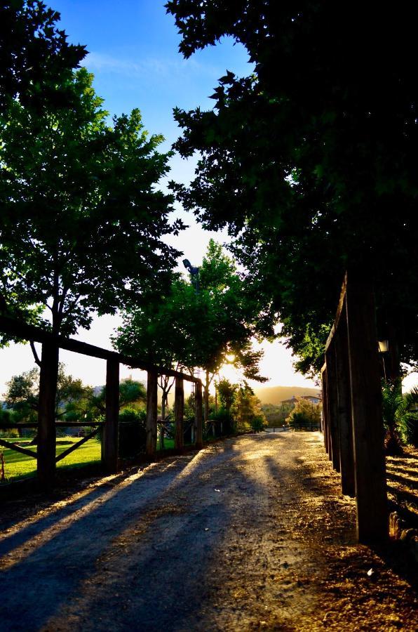 Cortijo Mesa De La Plata Pension Arcos de la Frontera Buitenkant foto
