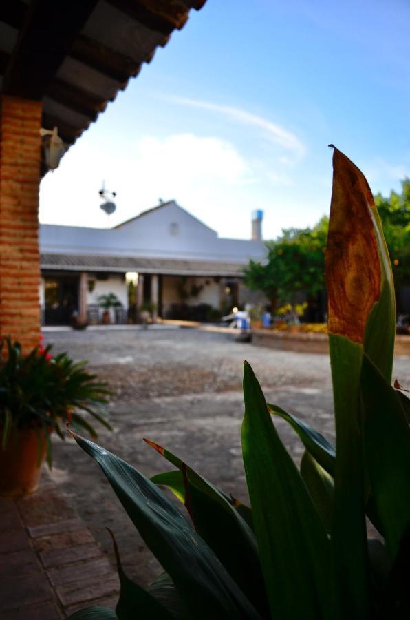 Cortijo Mesa De La Plata Pension Arcos de la Frontera Buitenkant foto